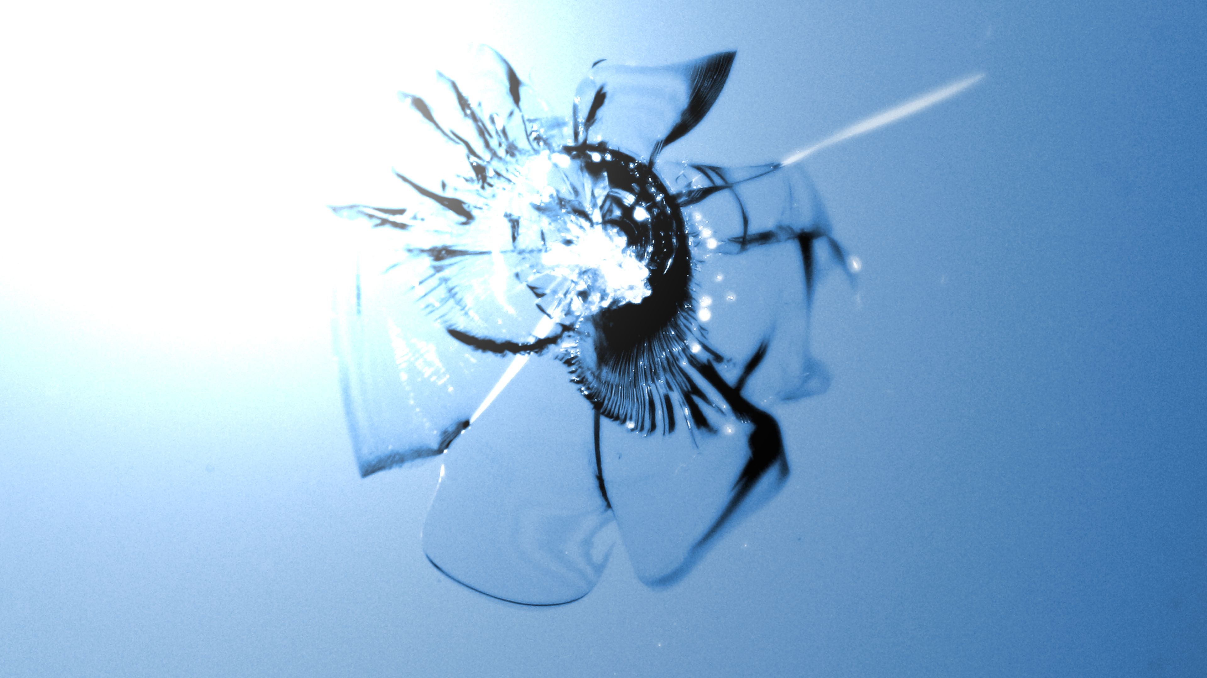 Glasbruch Windschutzscheibe mit Steinschlag