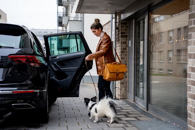 Frau führt Hund an der Leine auf den Auto-Rücksitz